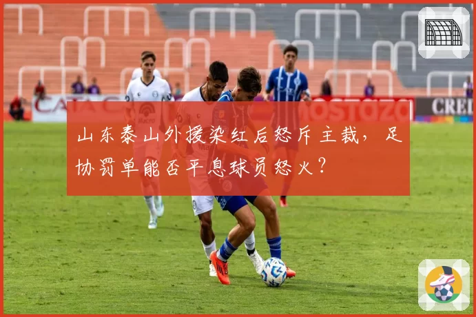 山东泰山外援染红后怒斥主裁，足协罚单能否平息球员怒火？