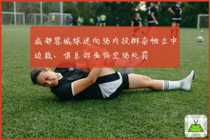 成都蓉城球迷向场内投掷杂物击中边裁，俱乐部面临空场处罚